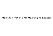 'Tum Kon Ho' and Its Meaning in English