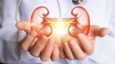 kidneys-in-dr-hands