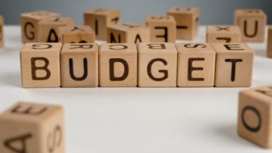 Budget 2025