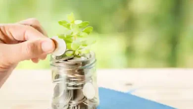 Small Cap Mutual Funds Explained